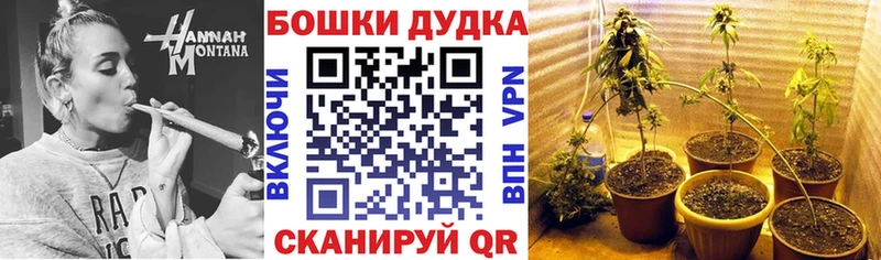 Каннабис гибрид  Киселёвск 
